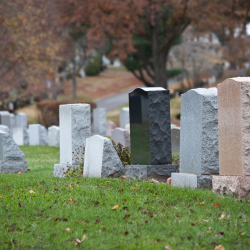 Row of headstones in a cemetery